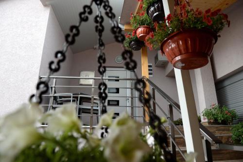 Guesthouse Đokić - image 3