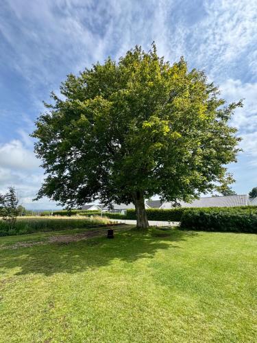 정원, Stora lönn (Stora lonn) in 팔켄베리