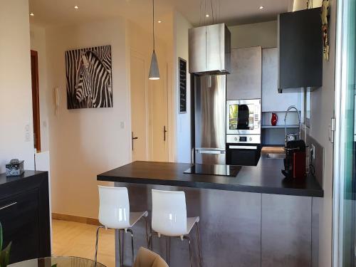 Apartment in Nice with Sea Views, Nice (photo 10)