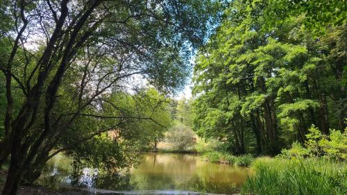Le fournil a Miette in Le Lonzac