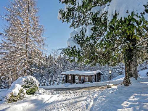 Chalet in Wörgl near Ski Bus Stop, Hopfgarten im Brixental (fotografie 4)