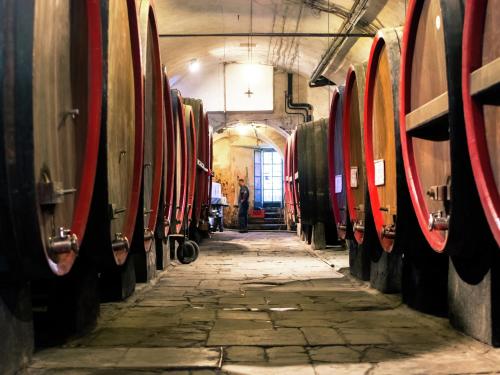Iekārtas, Guest House in Monferrato with Wine Tasting in Tagliolo Monferrato