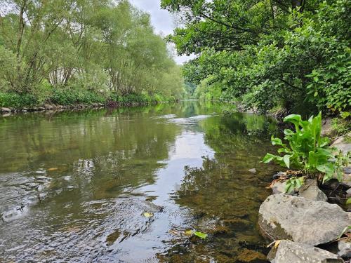 Nearby attraction, NEU Ganze Wohnung Boxspringbett & Gartenzugang in Betzdorf