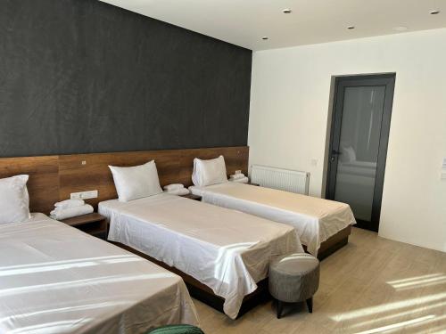 Chiko Group – Aspindza, VT