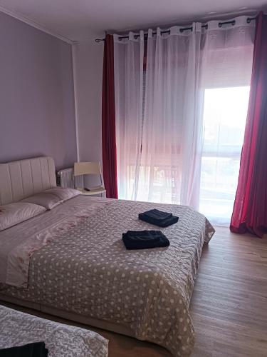 Belvedere affitta camere con bagno privato in Verona