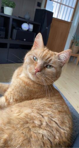 Cozy house with free parking on the premises in Рынгебу