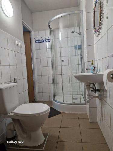 Borowikowa Knieja