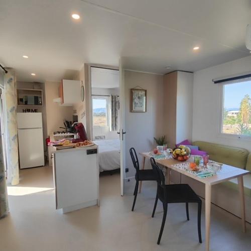 Mobil home neuf 4-6 P dans camping 4 étoiles - L'Almanarre Hyères