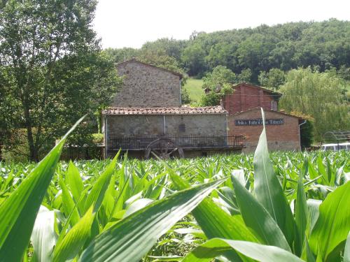 Podere Casina Rossa