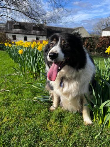 Easter Auchencarroch Farm B&B in Balloch