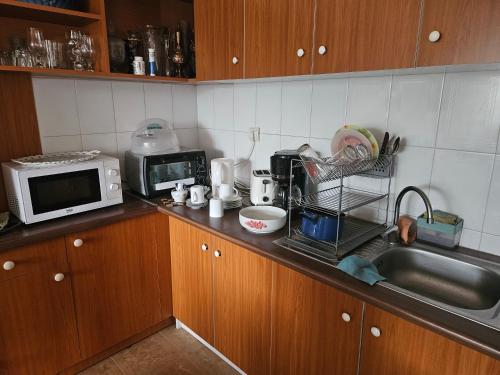 บริการและสิ่งอำนวยความสะดวก, Podgoria Guesthouse- Camere de inchiriat in ปอดกอเรีย