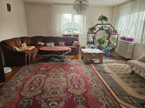 บริการและสิ่งอำนวยความสะดวก, Podgoria Guesthouse- Camere de inchiriat in ปอดกอเรีย