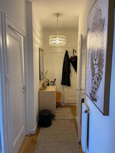 Well-Located Comfortable Complet, Ginebra (foto 2)