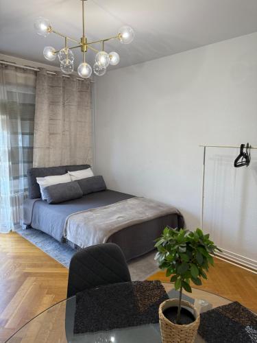 Well-Located Comfortable Complet, Ginebra (foto 6)