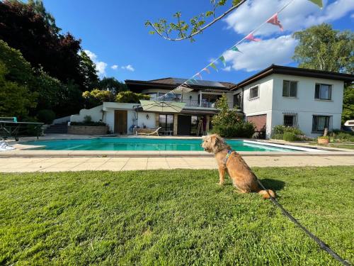 Alps and Lakeview Villa with Pool in Haut-Vully, Schweiz