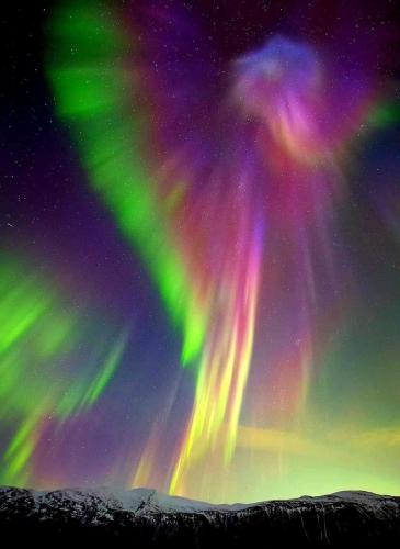 . Arctic Dream