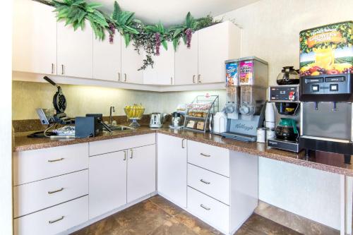 Ételek és italok, Super 8 by Wyndham Seguin in Seguin (Texas)