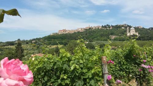 帕斯卡亚农庄酒店