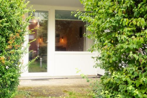 Zentral nah MHH Terrasse Komfort 2, Hannover (photo 4)