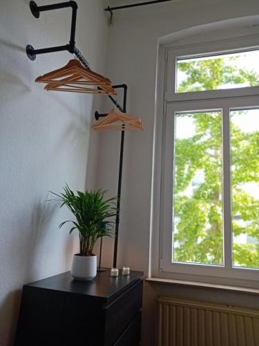 Altbau im Herzen der Stadt, Oldenburg (foto 5)
