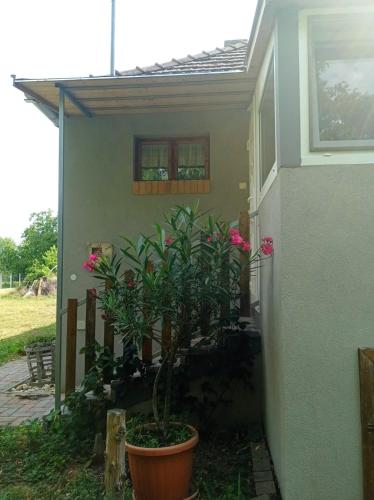 Dózsa-Györgydeák vendégház Nemesgörzsöny (Dozsa-Gyorgydeak vendeghaz Nemesgorzsony) in Marcalto