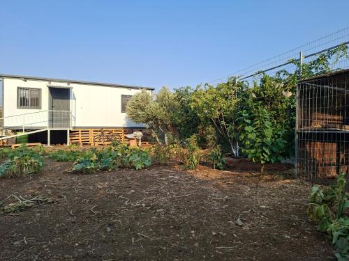 Olive tiny house, Tuval (foto 6)