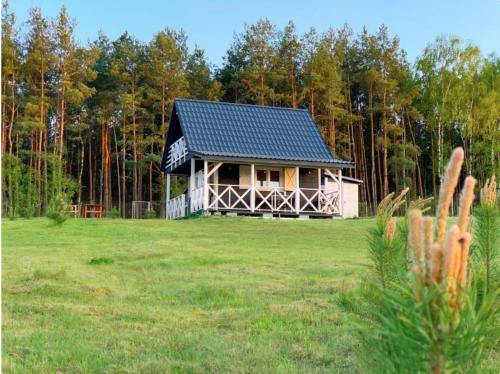 . Domek Pod Sosnami