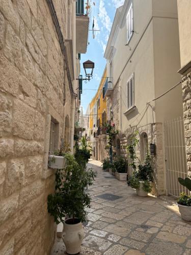 Solevita B&B 2