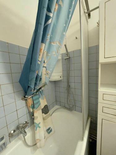 Large 1st floor apartment, Schaerbeek, Brussels, Bruxelles (photo 9)