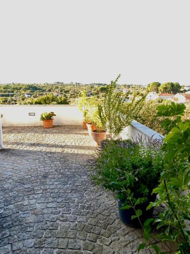 Chez Ilda - Casa da Ilda Alojamento Local in เนลาส