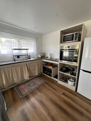 Pokopoko near Niue internasjonale lufthavn