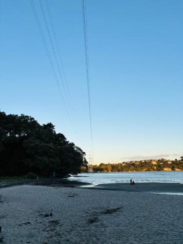 Quiet, peaceful Green Bay house, Auckland (fotografie 8)