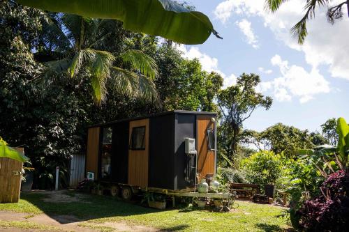Magic Mena Rainforest Retreat by Tiny Away in Mena Creek