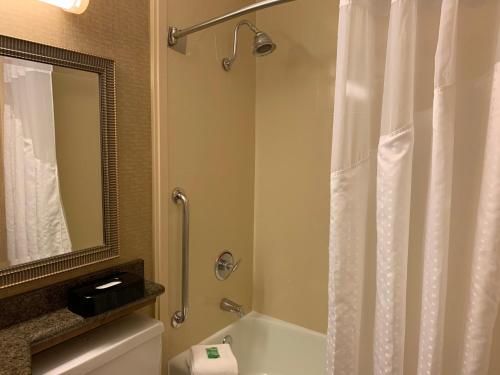 Holiday Inn Johnstown-Downtown an IHG Hotel - image 6