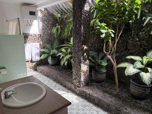 Raja Gardens Hotel – Seminyak, CO