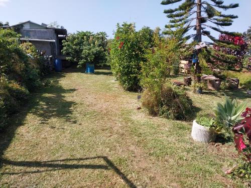 Rootscamp in Bel lombr