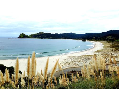 Strand, Boho Hill Apartment - Great Barrier Island Escape in Great Barrier Island