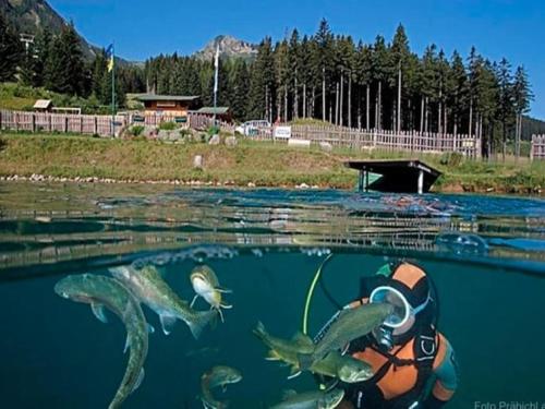 Apartment Pircher - image 2