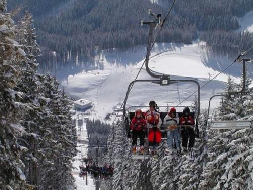 Apartment Pircher - image 5