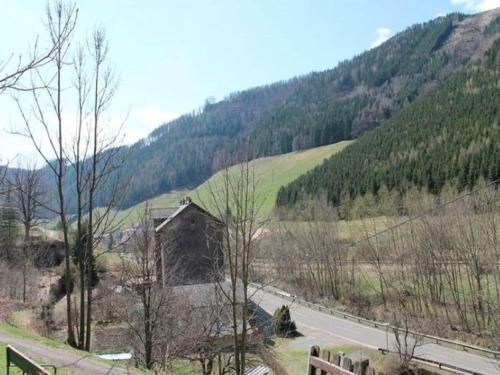 Apartment Pircher - image 12