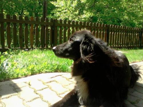 Apartment Pircher - image 9