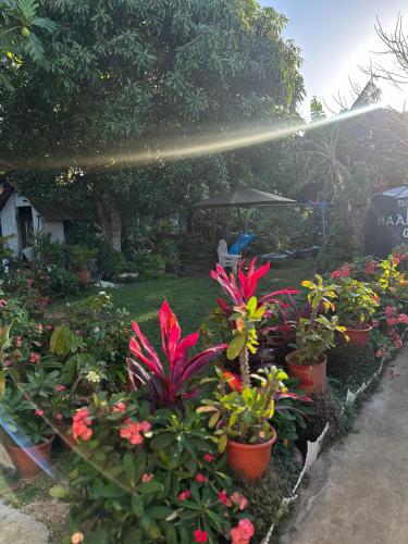 SweetBOSS Guesthouse in Ha‘alalo