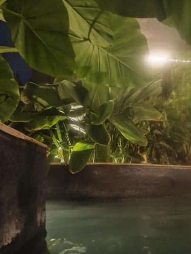 Surrounding environment, Hostal Turistico Ninfa del Mar in La Estacion