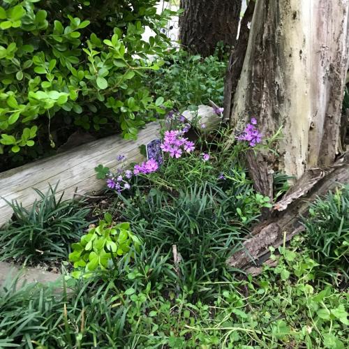8-17 Nomura Motomachi - House / Vacation STAY 1893
