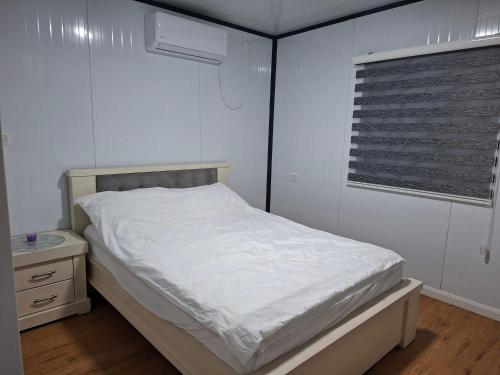 Olive tiny house, Tuval (foto 4)