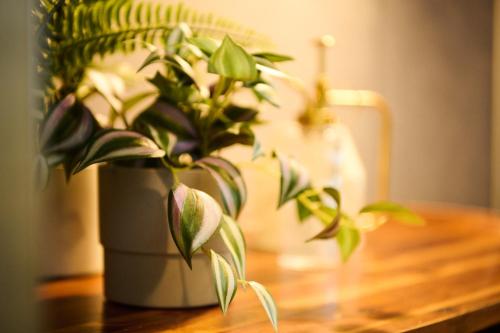 Sapporo - Apartment - Vacation STAY 29222v