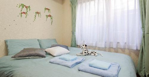 Cosmo Mercy N-1 / Vacation STAY 12990, Tokio