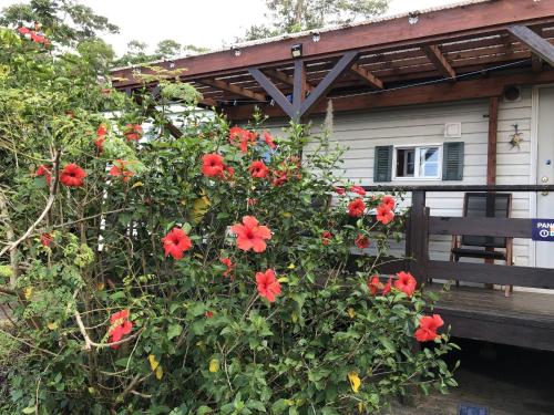 Kunigami-gun - Cottage / Vacation STAY 22642
