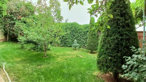 Dacha, Yusufkhona (foto 4)