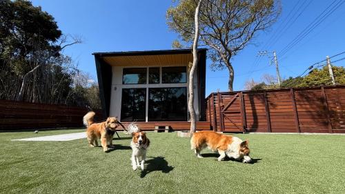 Choseigun - House - Vacation STAY 19282